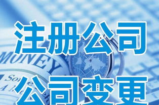 注冊(cè)公司 變更 注銷 工商年檢 代辦審批 稅務(wù)疑難