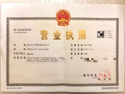 星空文耀 專業(yè)工商注冊實體工作室，高價收購飛盧太監(jiān)書及財務(wù)咨詢